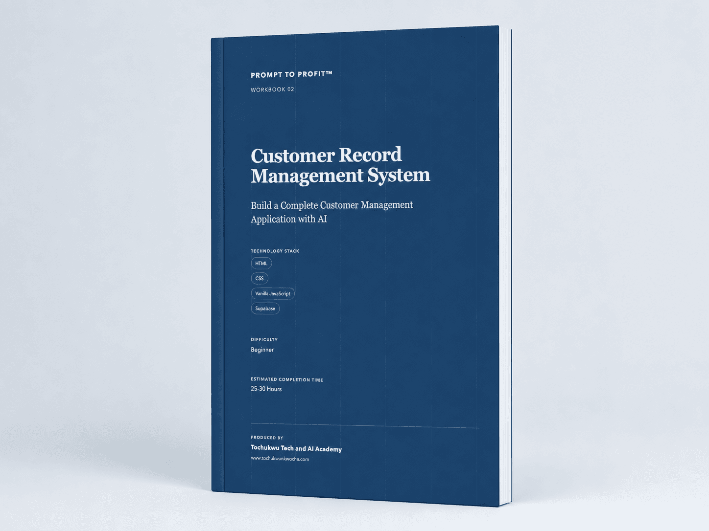 Customer Record Management System workbook mockup