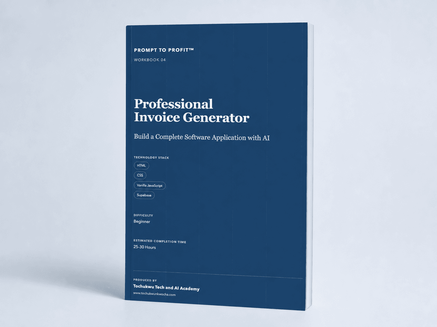 Professional Invoice Generator workbook mockup
